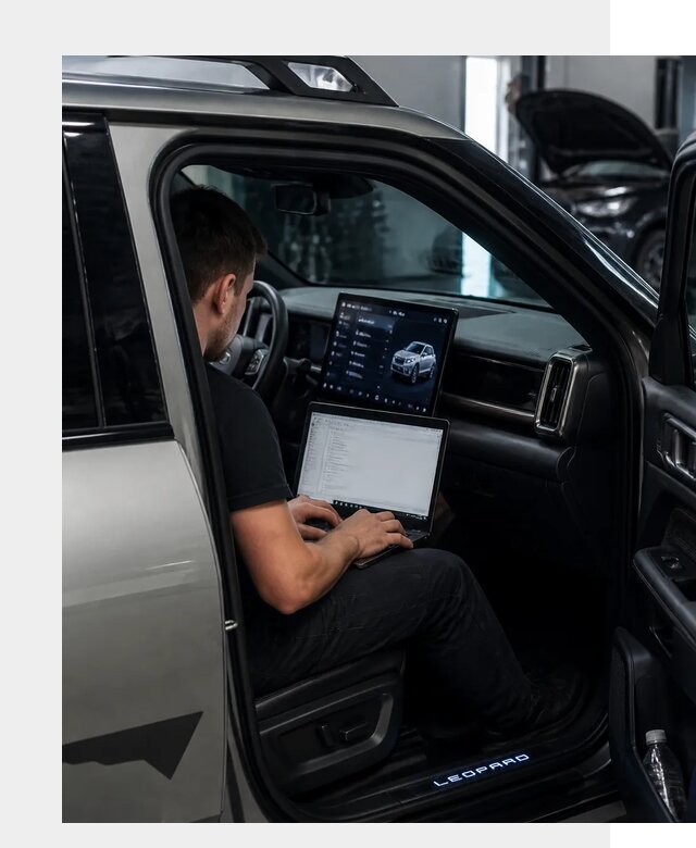 Русификация BYD Leopard 3 в Гукове по цене от 20429 р. | ФастМобиль-Гкв
